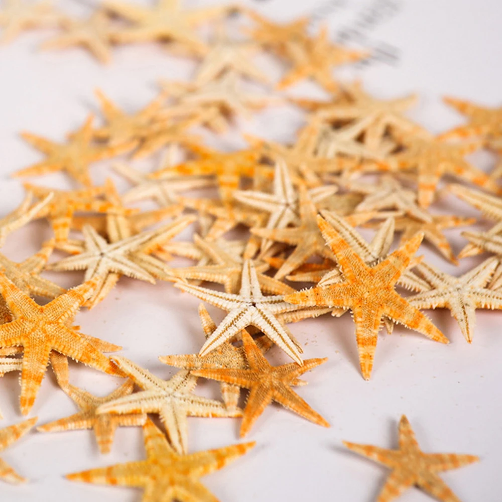 100pcs Sea Shells Size:0.5-3cm Mini Starfish Craft Decoration Natural Sea Stars DIY Beach Cottage Wedding Decor Crafts Accessory
100pcs Sea Shells Size:0.5-3cm Mini Starfish Craft Decoration Natural Sea Stars DIY Beach Cottage Wedding Decor Crafts Accessory