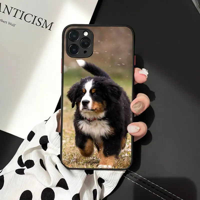 Bernese Mountain Dog Phone Case matte transparent For iphone 7 8 11 12 plus mini x xs xr pro max cover
Bernese Mountain Dog Phone Case matte transparent For iphone 7 8 11 12 plus mini x xs xr pro max cover