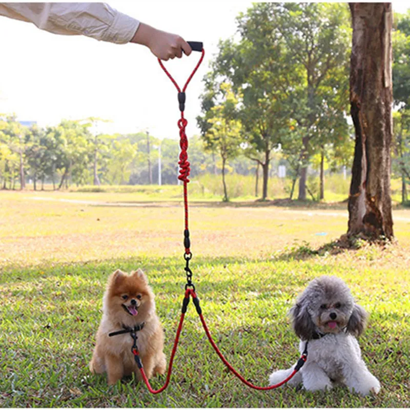 Dog Leash Double Dogs Walking Harness Leashes Dogs Cat Collar Elastic Chain Reflective Leash Harnesses for Dog Run Pet Supplies
Dog Leash Double Dogs Walking Harness Leashes Dogs Cat Collar Elastic Chain Reflective Leash Harnesses for Dog Run Pet Supplies