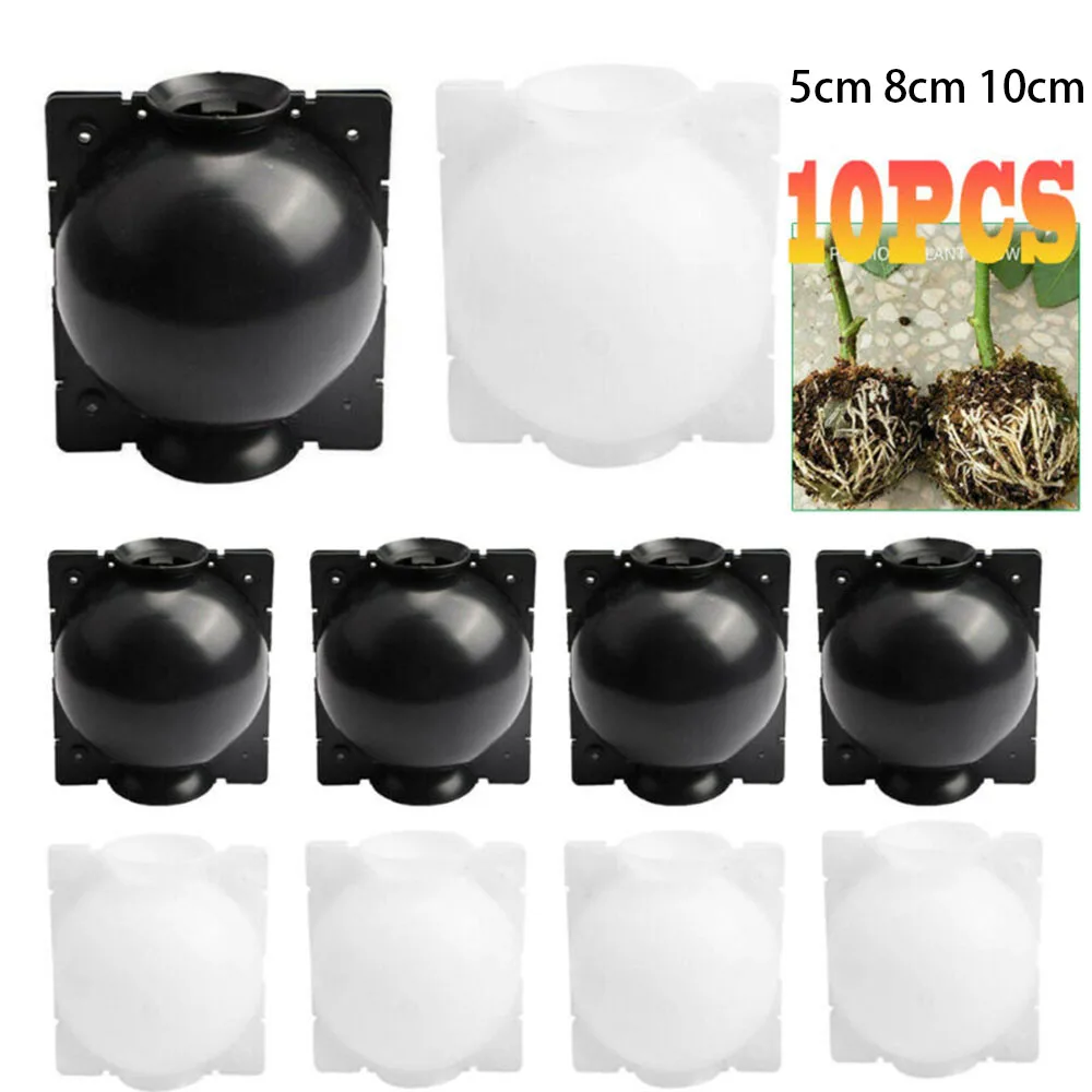 10pcs Plant Rooting Box PP Plastic Plant Root Box S/M Box Growing Device Ball High-Pressure Propagation Parts
10pcs Plant Rooting Box PP Plastic Plant Root Box S/M Box Growing Device Ball High-Pressure Propagation Parts