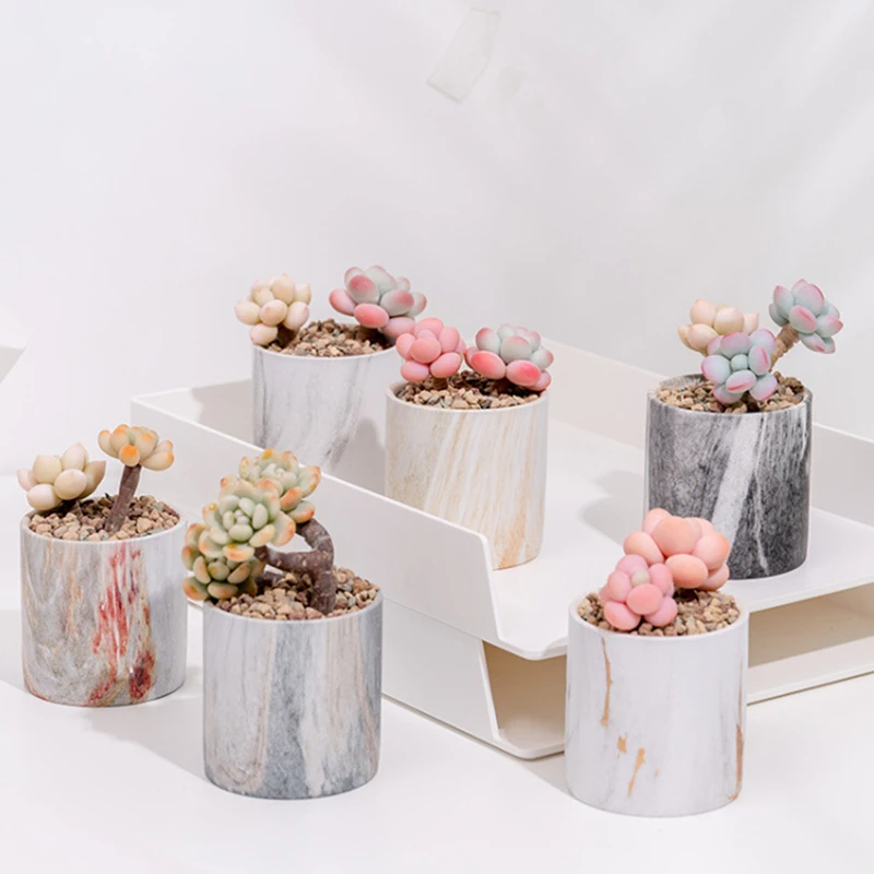 Nordic Ins Marble Texture Succulent Ceramic Flowerpot Simple Green Plant Straight Basin Art Ornament Home Creative Gardening
Nordic Ins Marble Texture Succulent Ceramic Flowerpot Simple Green Plant Straight Basin Art Ornament Home Creative Gardening