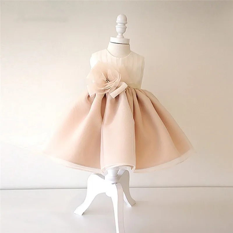 

Cute Tutu Baby Girl Birthday Dress Champagne Tulle Knee Length Infant Toddler Birthday Party Dress Pageant Gown 12M 18M 24M