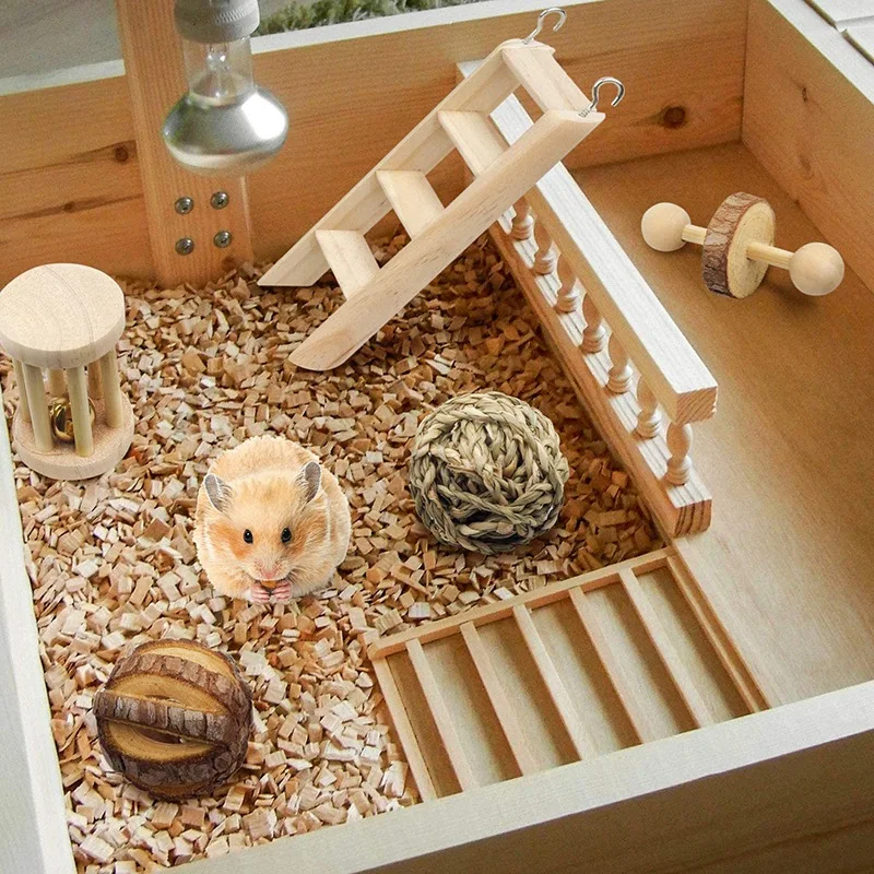 Hamster Toys 11 Pack Guinea Pig Wooden Chinchilla Bunny Chews Toys Natural Molar Wooden for Teeth
Hamster Toys 11 Pack Guinea Pig Wooden Chinchilla Bunny Chews Toys Natural Molar Wooden for Teeth