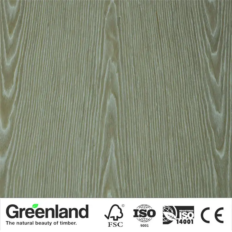 Silver OAK Wood Veneers Wood Wooden Blanks Slices Decoration For Bedroom Chair Table Flooring DIY Furniture Natural 250x60 Cm
Silver OAK Wood Veneers Wood Wooden Blanks Slices Decoration For Bedroom Chair Table Flooring DIY Furniture Natural 250x60 Cm