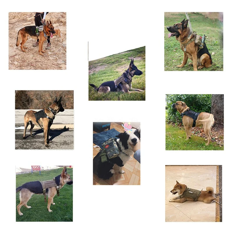 Tactical Service Dog Vest Breathable military dog clothes harness adjustable size Training Hunting Molle Dog tactical Harness
Tactical Service Dog Vest Breathable military dog clothes harness adjustable size Training Hunting Molle Dog tactical Harness