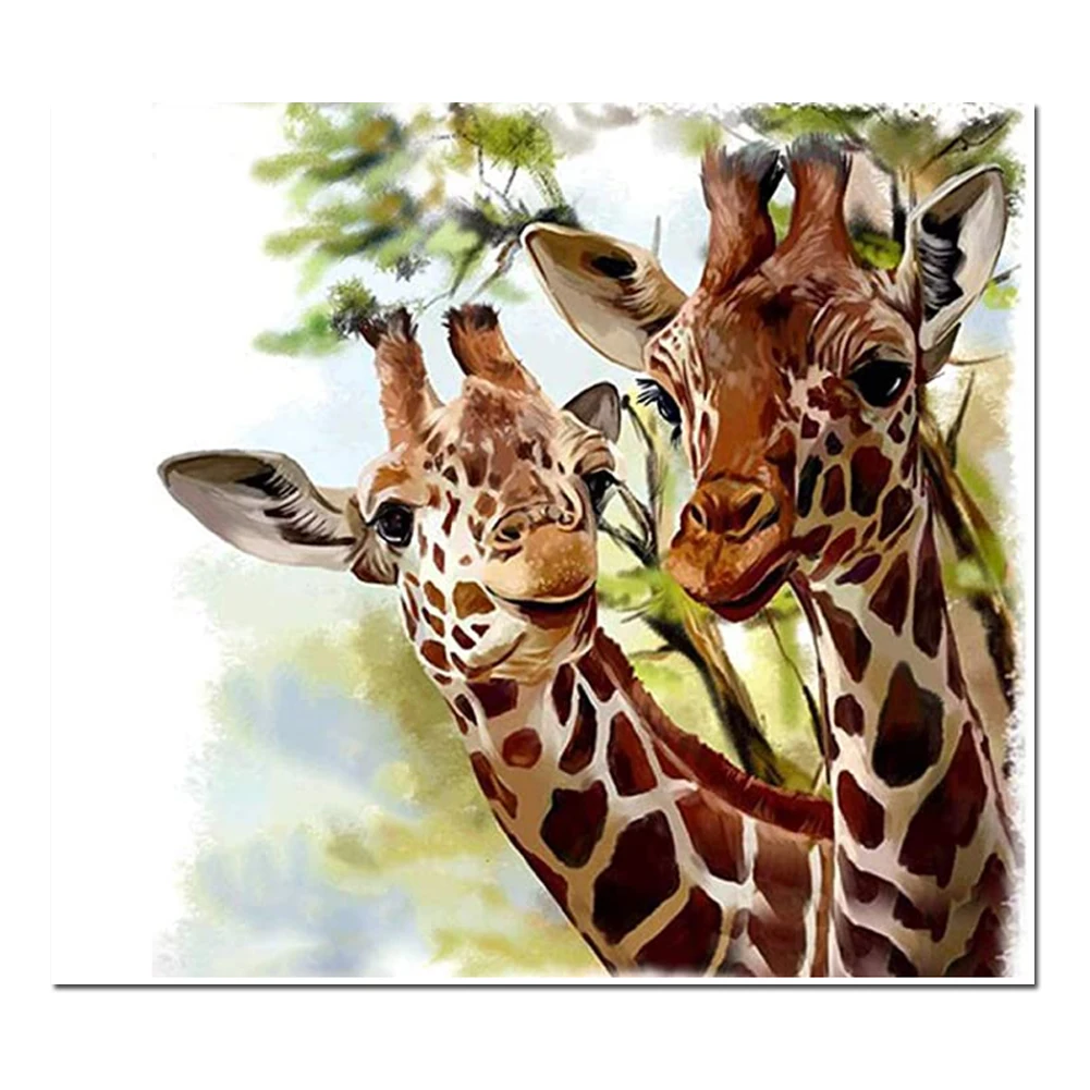 5D DIY Diamond Painting Animal Two Giraffes Cross Stitch Patterns Diamond Painting kits for Embroidery with Beads
5D DIY Diamond Painting Animal Two Giraffes Cross Stitch Patterns Diamond Painting kits for Embroidery with Beads
