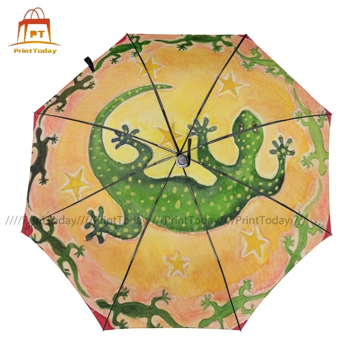 Lizard Umbrella Cheap Lightweight Umbrella Design Camping Wind Proof Auto Umbrella
Lizard Umbrella Cheap Lightweight Umbrella Design Camping Wind Proof Auto Umbrella