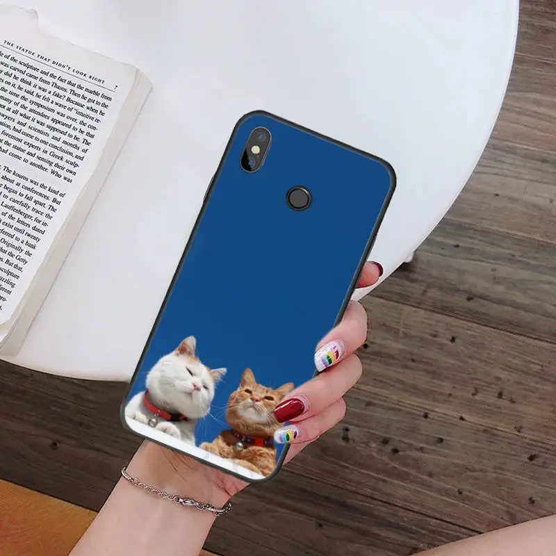 cute cat Phone Case For Xiaomi Redmi 7 9t 9se k20 mi8 max3 lite 9 note 8 9s 10 pro Soft Silicone Shell Cover Funda
cute cat Phone Case For Xiaomi Redmi 7 9t 9se k20 mi8 max3 lite 9 note 8 9s 10 pro Soft Silicone Shell Cover Funda