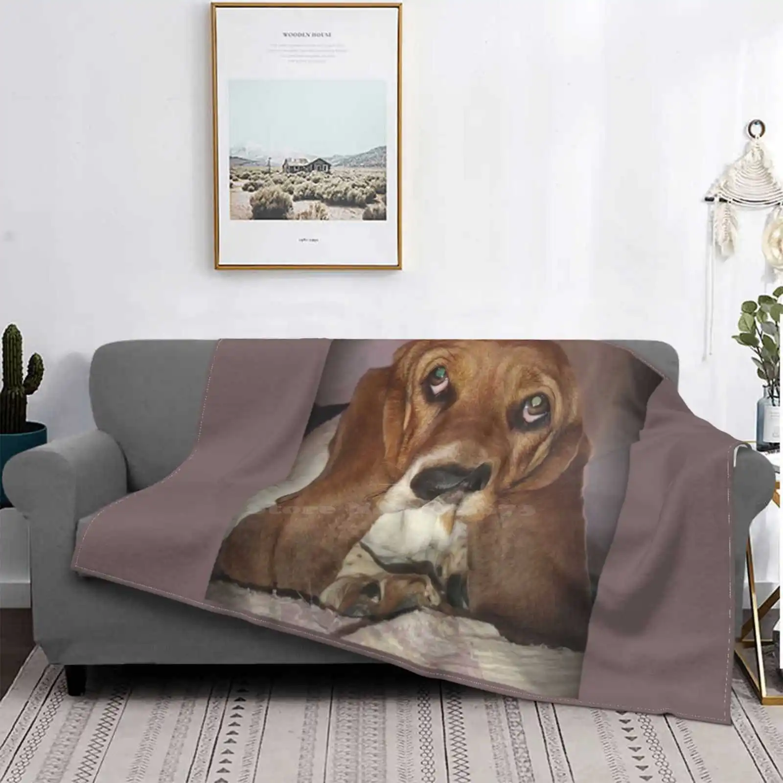 Утренняя рубашка. Manta suave de todos los tamгоды, украшение для дома, ropa de cama, игра для cama, собаки feliz, hounдесa, Hou
Утренняя рубашка. Manta suave de todos los tamгоды, украшение для дома, ropa de cama, игра для cama, собаки feliz, hounдесa, Hou