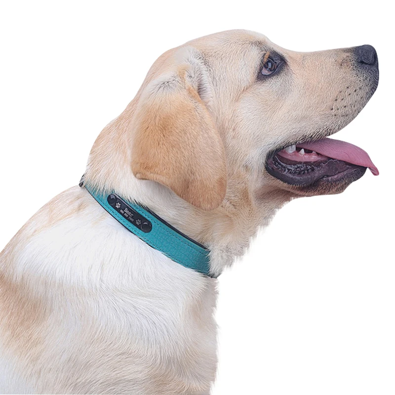 High Quality Nylon Adjustable Dog Collar Outdoor Walking Dog Harnesses with Dog Tag Prevent Losing for Large Medium Small Dogs
High Quality Nylon Adjustable Dog Collar Outdoor Walking Dog Harnesses with Dog Tag Prevent Losing for Large Medium Small Dogs