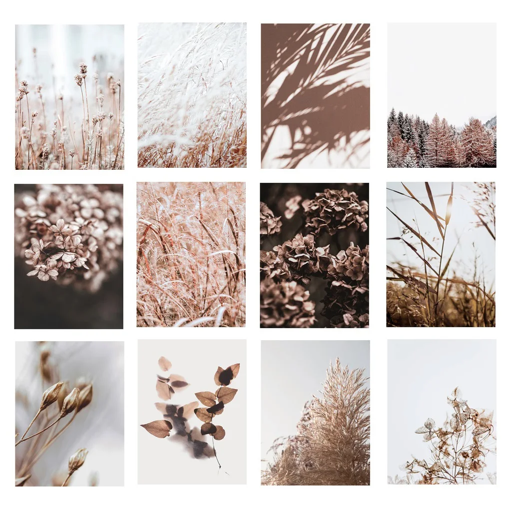 Modern Nordic Landscape Painting Wall Art Canvas Plant Flower Leaf Picture Forest Farm Living Room Decoration Wheat Dune Posters
Modern Nordic Landscape Painting Wall Art Canvas Plant Flower Leaf Picture Forest Farm Living Room Decoration Wheat Dune Posters