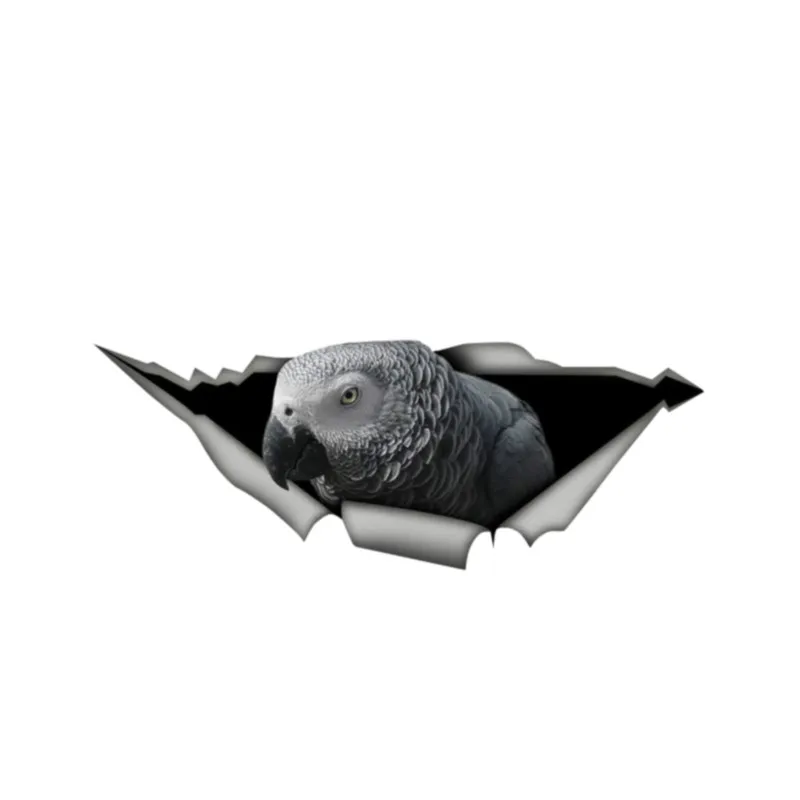 African Grey Parrot Funny Car Sticker Metal Aluminum Composite Sign KK Vinyl Car Styling Cute Pet Bird Decal 13cm X 5cm
African Grey Parrot Funny Car Sticker Metal Aluminum Composite Sign KK Vinyl Car Styling Cute Pet Bird Decal 13cm X 5cm