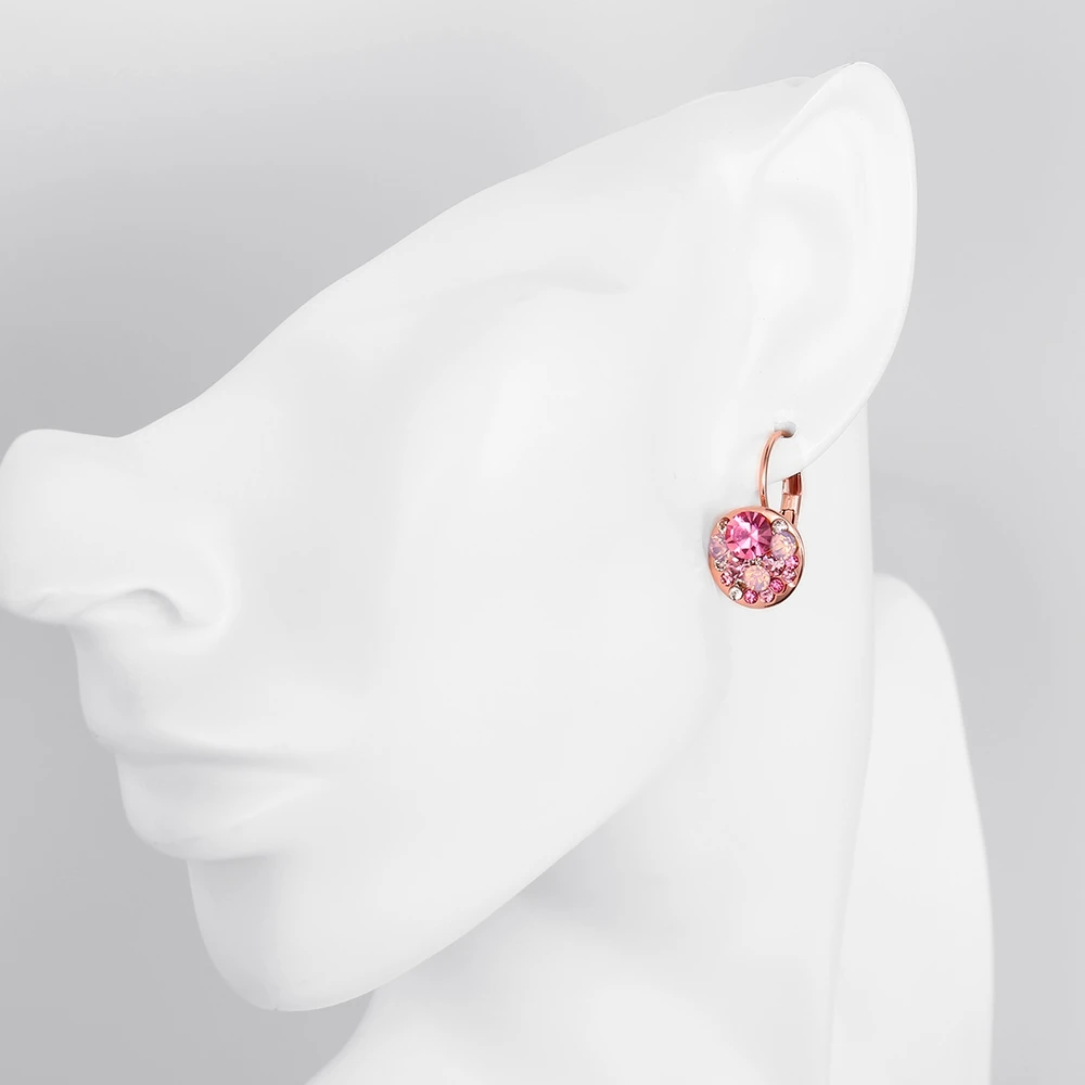 LEKANI Round Earrings For Women Shining Colorful 5A+ Cubic Zirconia CZ Rose Gold Stud Earring Female Fashion Jewelry Wholesale 
LEKANI Round Earrings For Women Shining Colorful 5A+ Cubic Zirconia CZ Rose Gold Stud Earring Female Fashion Jewelry Wholesale