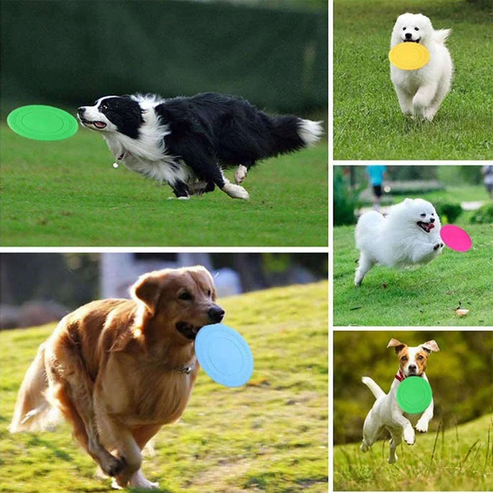 6 PCS Pet Dog Toy sDog Durable Silicone Outdoor Toys Dog Training Soft Throw Flying Toy Pet Supplies
6 PCS Pet Dog Toy sDog Durable Silicone Outdoor Toys Dog Training Soft Throw Flying Toy Pet Supplies