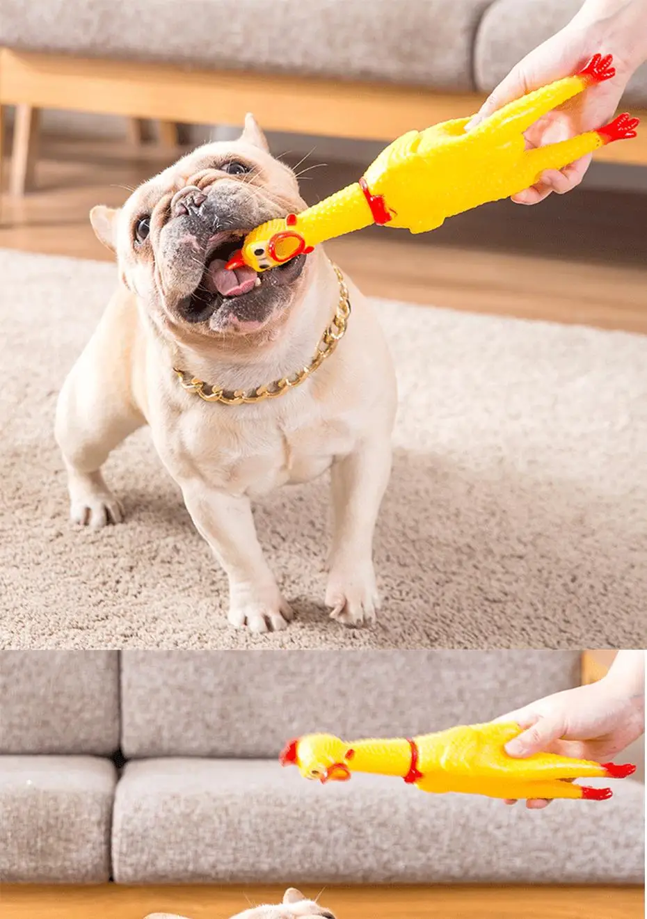 Funny Cute Cartoon Rubber Screaming Chicken Big / Puppy Interactive Chewing Dog Toy Cleaning Teeth Sm ll Pet Squeaker Toys
Funny Cute Cartoon Rubber Screaming Chicken Big / Puppy Interactive Chewing Dog Toy Cleaning Teeth Sm ll Pet Squeaker Toys