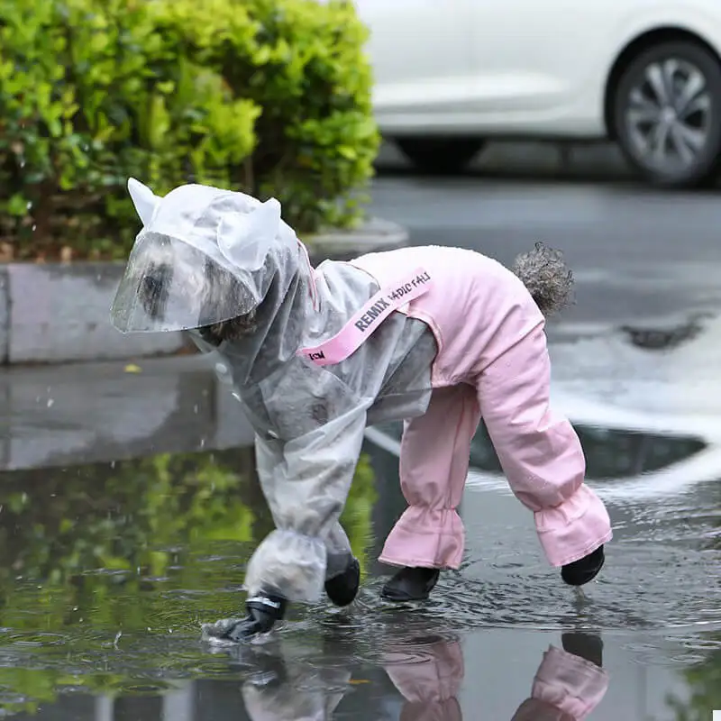 Pet Dogs Rainwear Clothes Waterproof Rain Jumpsuit For Small Dog Outdoor Clothing Coat Pet Supplies
Pet Dogs Rainwear Clothes Waterproof Rain Jumpsuit For Small Dog Outdoor Clothing Coat Pet Supplies