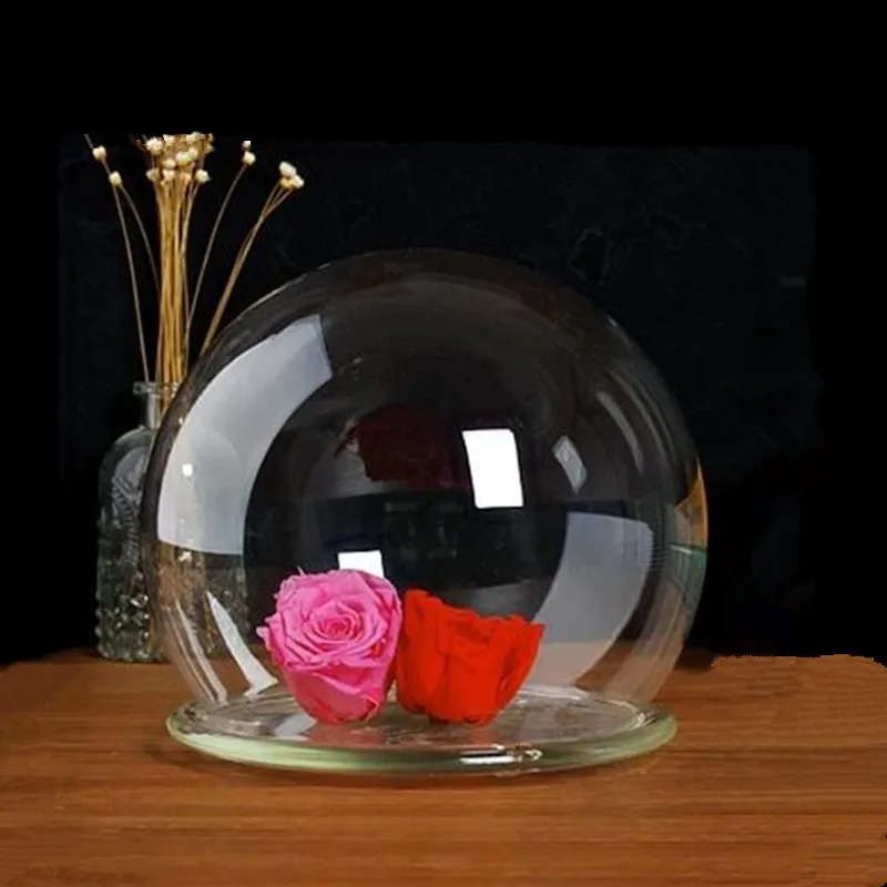 Diameter=20cm Big Size Round Shaped Glass Dome Vase Home Decoration Creative Glass Base Cover DIY Friend Birthday Gift Wedding
Diameter=20cm Big Size Round Shaped Glass Dome Vase Home Decoration Creative Glass Base Cover DIY Friend Birthday Gift Wedding