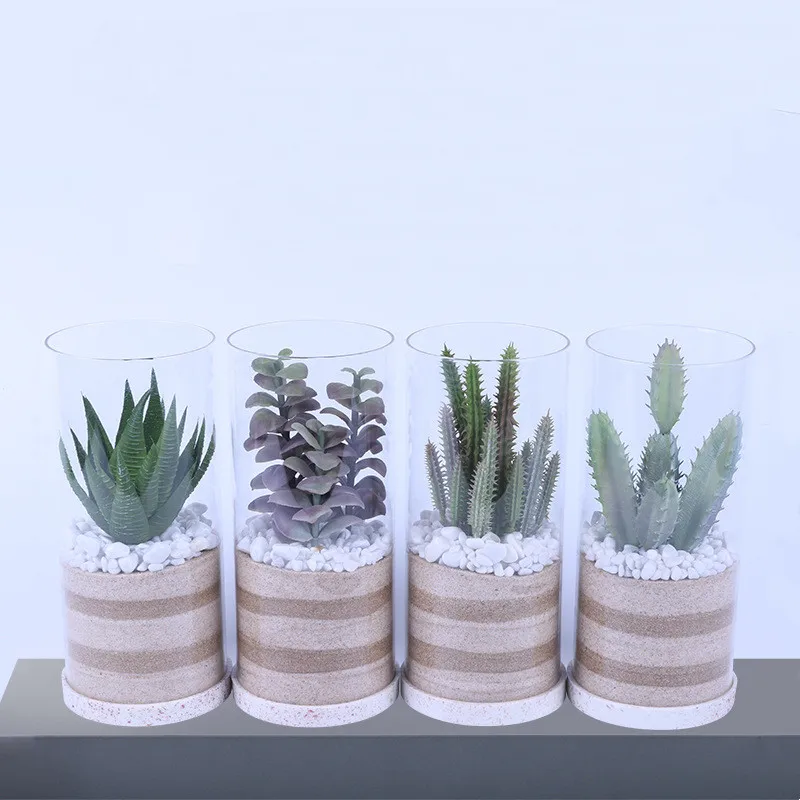 Potted Micro Landscape Succulents Bonsai Fake Flower Glass Bottle Artificial Imitation Plants for Home Indoor Desktop Decoration
Potted Micro Landscape Succulents Bonsai Fake Flower Glass Bottle Artificial Imitation Plants for Home Indoor Desktop Decoration