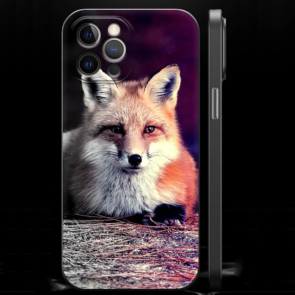 Милый мультяшный чехол для телефона с изображением животных лисы iPhone 13 12 11 Pro MAX XR X