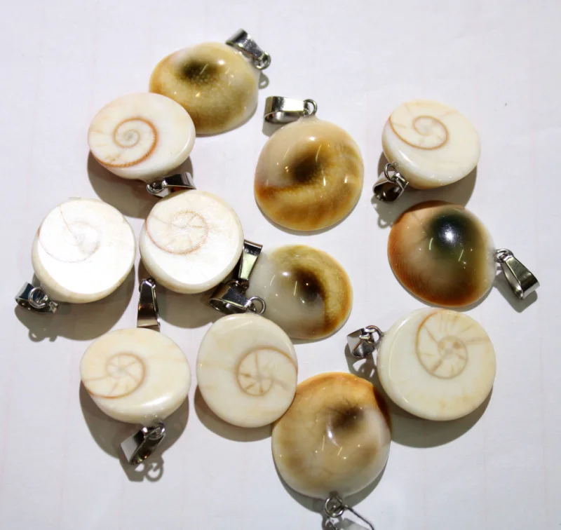 Wholesale natural stone Snails Pendants charms animal pendants Jewelry Accessories making necklace Natural shell 12Pcs/lot
Wholesale natural stone Snails Pendants charms animal pendants Jewelry Accessories making necklace Natural shell 12Pcs/lot