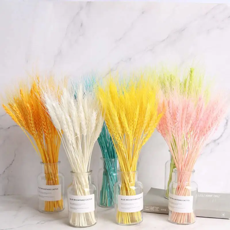 50Pcs/lot Natural Dried Flower colorful Wheat Ears Bouquet for Wedding Home Party Decoration DIY Craft Wheat Branch Props
50Pcs/lot Natural Dried Flower colorful Wheat Ears Bouquet for Wedding Home Party Decoration DIY Craft Wheat Branch Props