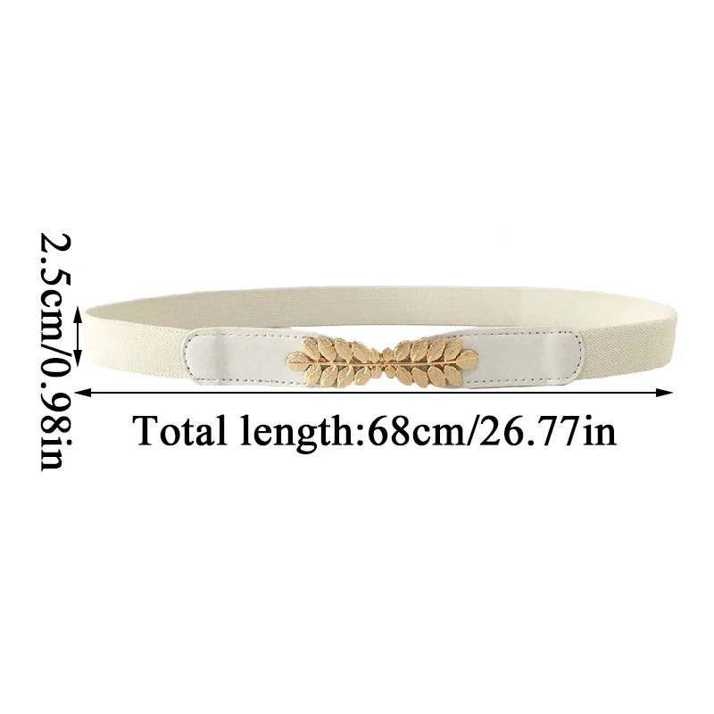 Elastic Wide Women Waist Belt Gold Color Chain Ladies Dress Belt Fashion Coat Sweater Female Waistband
Elastic Wide Women Waist Belt Gold Color Chain Ladies Dress Belt Fashion Coat Sweater Female Waistband