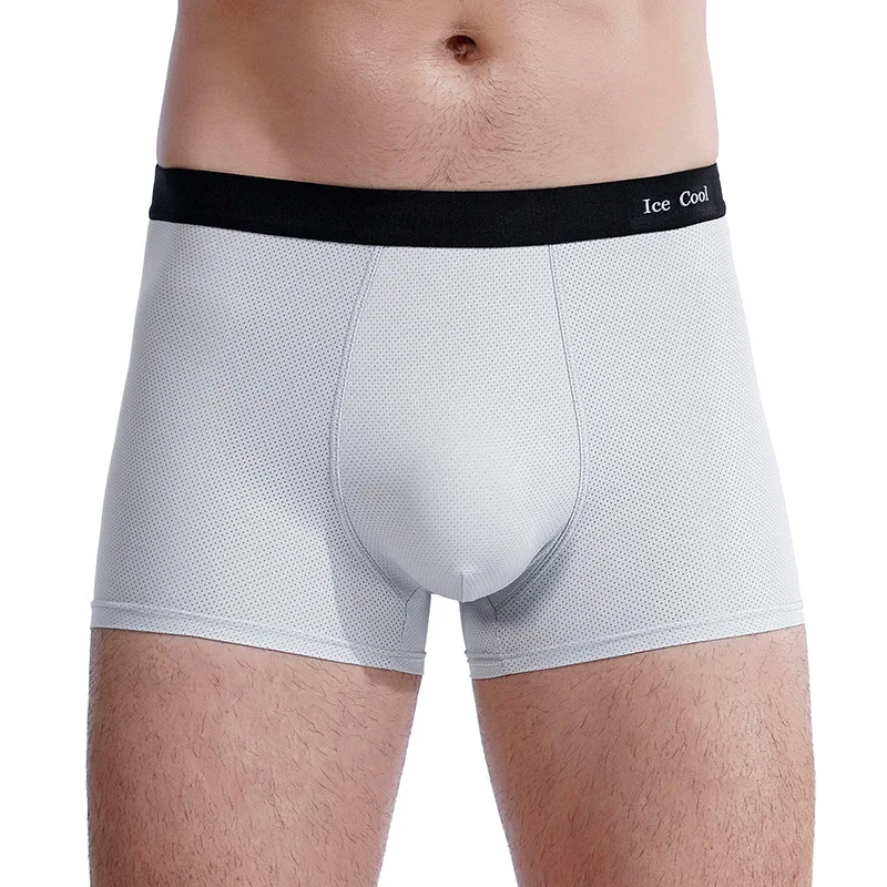 Boxers Mens Male Underwear Summer Ice Silk Thin Men Boxer Men's Sexy Underpants Male Panties Mesh Holes Breathable Shorts Homme
Boxers Mens Male Underwear Summer Ice Silk Thin Men Boxer Men's Sexy Underpants Male Panties Mesh Holes Breathable Shorts Homme