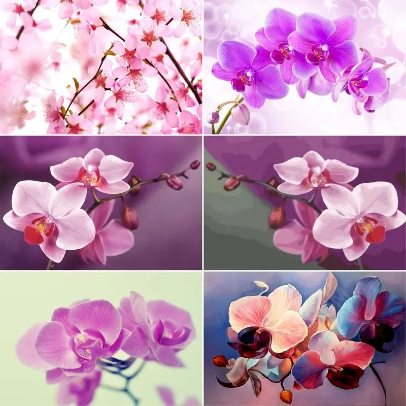 GATYZTORY 60x75cm DIY Painting By Numbers Flowers Phalaenopsis Coloring Zero Basis HandPainted Painting Unique Gift Home Decor
GATYZTORY 60x75cm DIY Painting By Numbers Flowers Phalaenopsis Coloring Zero Basis HandPainted Painting Unique Gift Home Decor