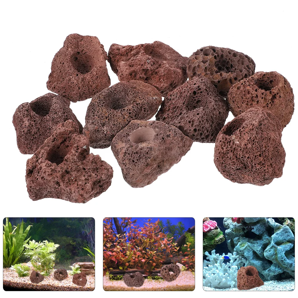 10pcs Natural Decorative Ornament Aquarium Habitat Volcanic Rocks Aquarium Ornament
10pcs Natural Decorative Ornament Aquarium Habitat Volcanic Rocks Aquarium Ornament