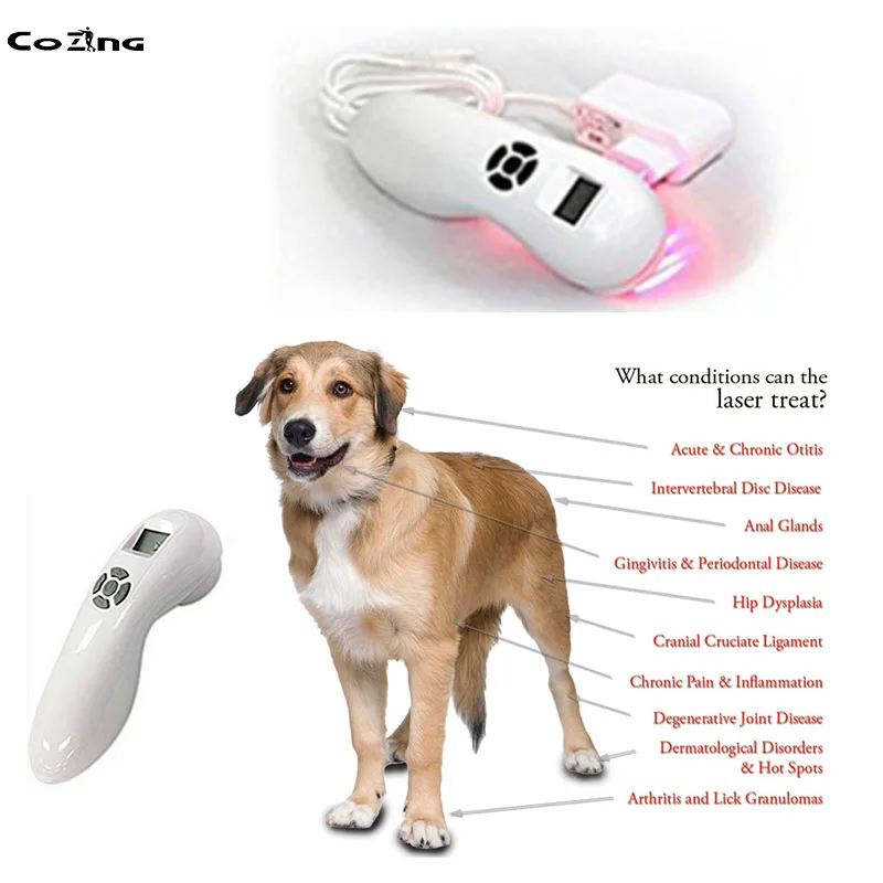 Veterinary Use For Animals Dogs Horses Cats Animals Pets Wound Healing Pets Clinic Pain Relieve Cold Laser Therapy Instrument
Veterinary Use For Animals Dogs Horses Cats Animals Pets Wound Healing Pets Clinic Pain Relieve Cold Laser Therapy Instrument