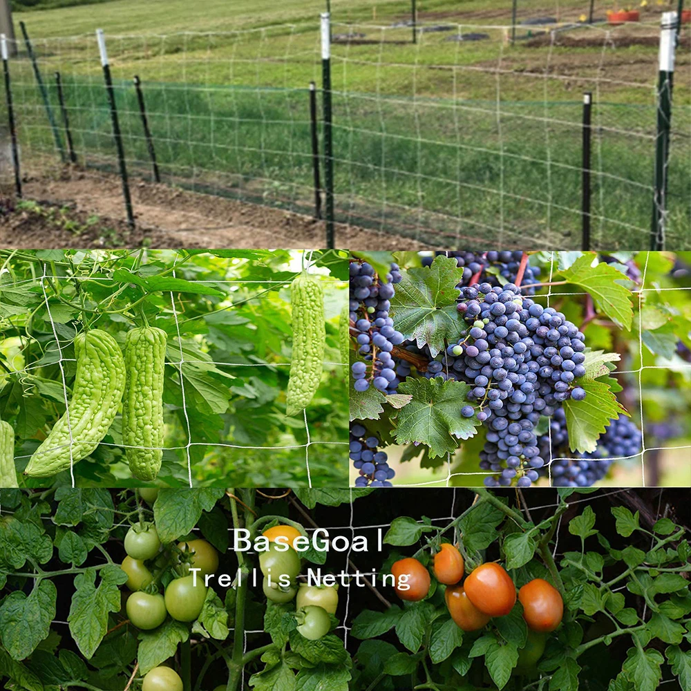 5m/10m Plant Trellis Netting Heavy-Duty Polyester Plant Support Vine Climbing Hydroponics Garden Net Accessories Multi Use
5m/10m Plant Trellis Netting Heavy-Duty Polyester Plant Support Vine Climbing Hydroponics Garden Net Accessories Multi Use