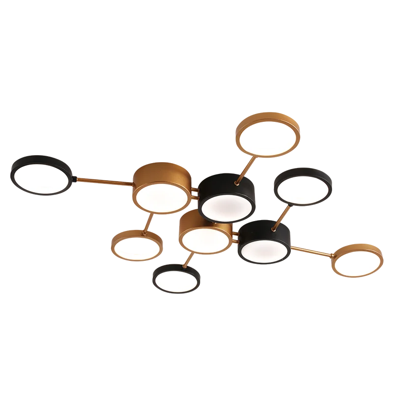 Modern Circle Ceiling Lamp 110V 220V For Foyer Bedroom Dining Room Kitchen Lighting Fixtures
Modern Circle Ceiling Lamp 110V 220V For Foyer Bedroom Dining Room Kitchen Lighting Fixtures