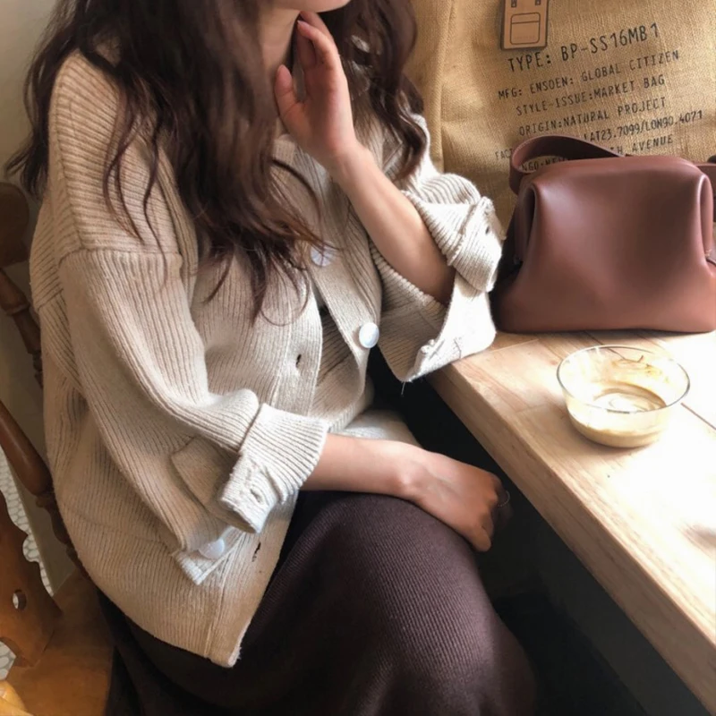 Ailegogo New Women Sweater Casual Turn Down Collar Loose Fit Cardigans Female Button Knitwear Tops Korean Style Outwear
Ailegogo New Women Sweater Casual Turn Down Collar Loose Fit Cardigans Female Button Knitwear Tops Korean Style Outwear