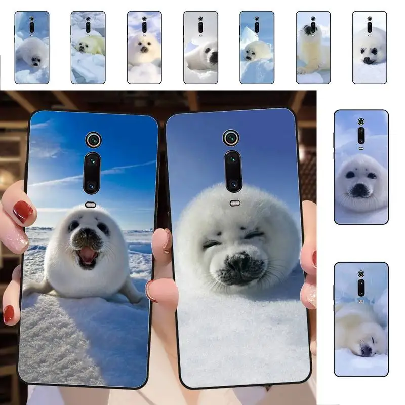 YNDFCNB Baby Harp Seal Sea Lion Phone Case for Redmi 5 6 7 8 9 A 5plus K20 4X 6 cover
YNDFCNB Baby Harp Seal Sea Lion Phone Case for Redmi 5 6 7 8 9 A 5plus K20 4X 6 cover