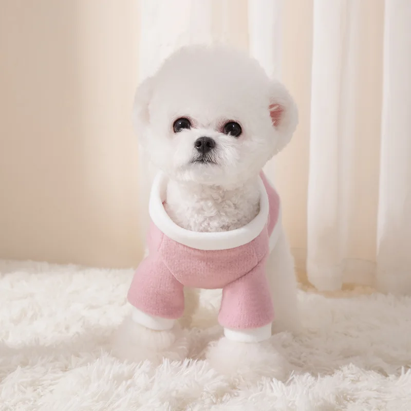 Dog Clothes Colorful Transparent Sun Protection Teddy Puppy Summer Wear Light Pet Coat Jacket
Dog Clothes Colorful Transparent Sun Protection Teddy Puppy Summer Wear Light Pet Coat Jacket