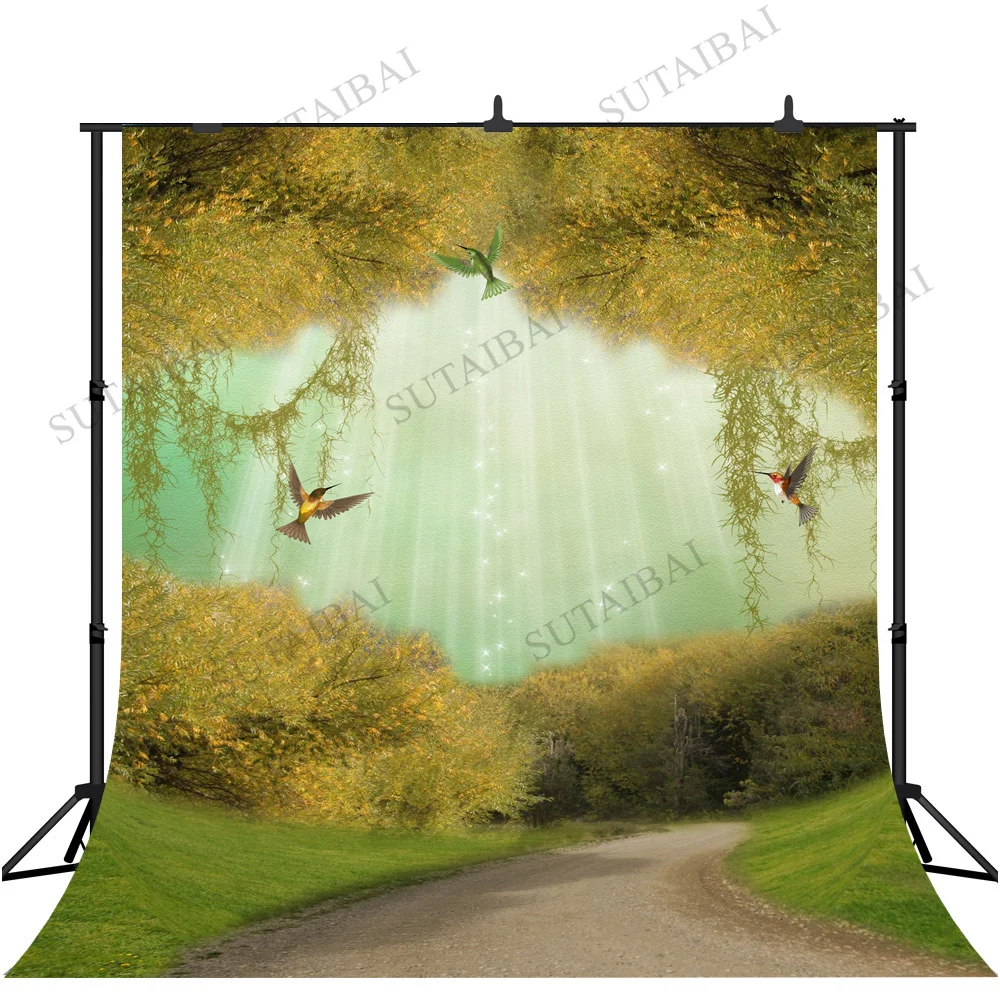 Spring Fairy Tale Path Tree Birds Photography Background Children Backdrops for Photo Studio Newborn Photography Backdrops
Spring Fairy Tale Path Tree Birds Photography Background Children Backdrops for Photo Studio Newborn Photography Backdrops