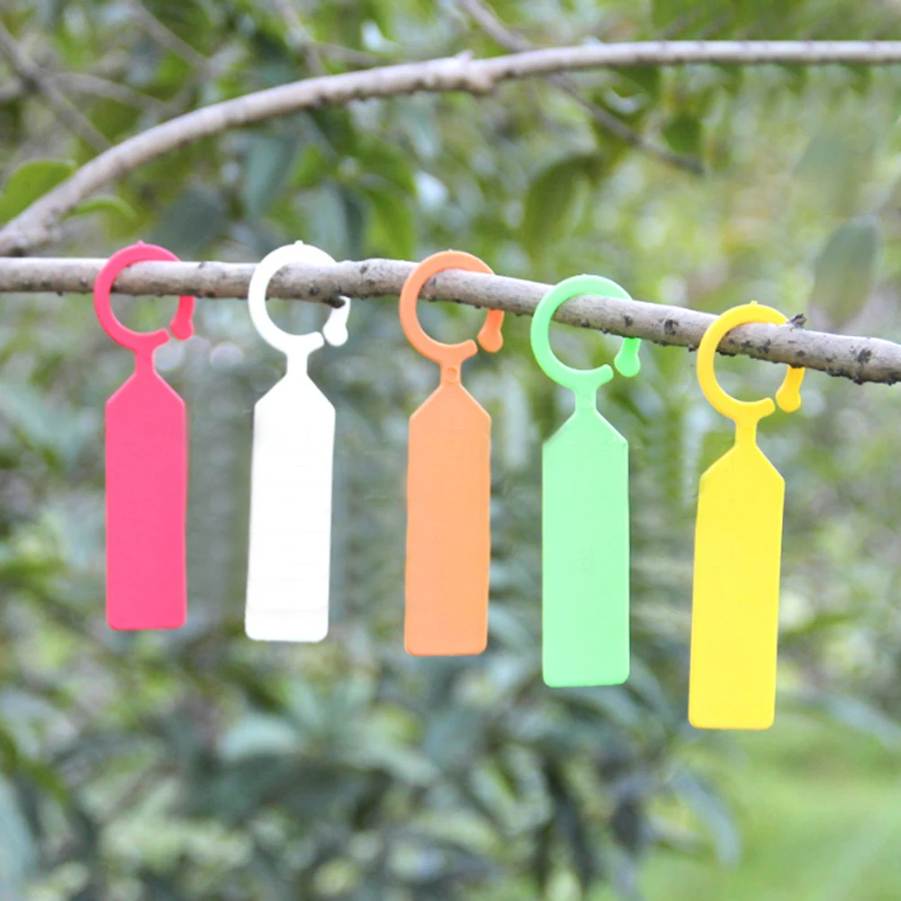 100PCS Ring Plastic Hanging Labels Garden Plant Pot Markers Reusable Waterproof Thick Hook Tree Tags Decoration Tool
100PCS Ring Plastic Hanging Labels Garden Plant Pot Markers Reusable Waterproof Thick Hook Tree Tags Decoration Tool