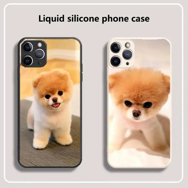 Pomeranian dogs dog cute Phone Case for iPhone 13 12 11 mini pro XS MAX XR 8 7 6 6S Plus X 5S SE 2020
Pomeranian dogs dog cute Phone Case for iPhone 13 12 11 mini pro XS MAX XR 8 7 6 6S Plus X 5S SE 2020