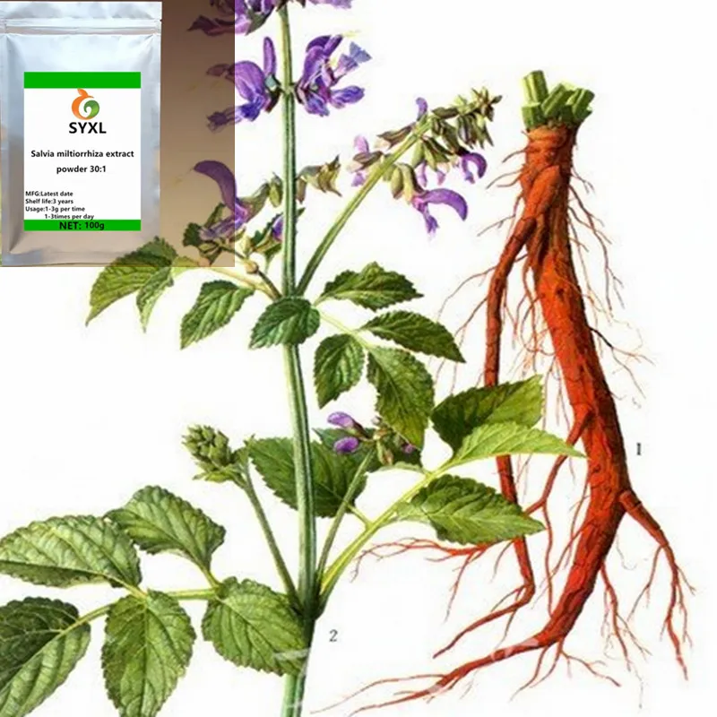 Pure natural wild Salvia miltiorrhiza Extract powder /dan shen/ Free transportation of good quality
Pure natural wild Salvia miltiorrhiza Extract powder /dan shen/ Free transportation of good quality