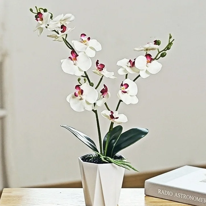Artificial Flower 45cm2, Fork Phalaenopsis, Festival, Party Decoration, DIY Living Room Desktop Decoration Plant, Containing Pot
Artificial Flower 45cm2, Fork Phalaenopsis, Festival, Party Decoration, DIY Living Room Desktop Decoration Plant, Containing Pot