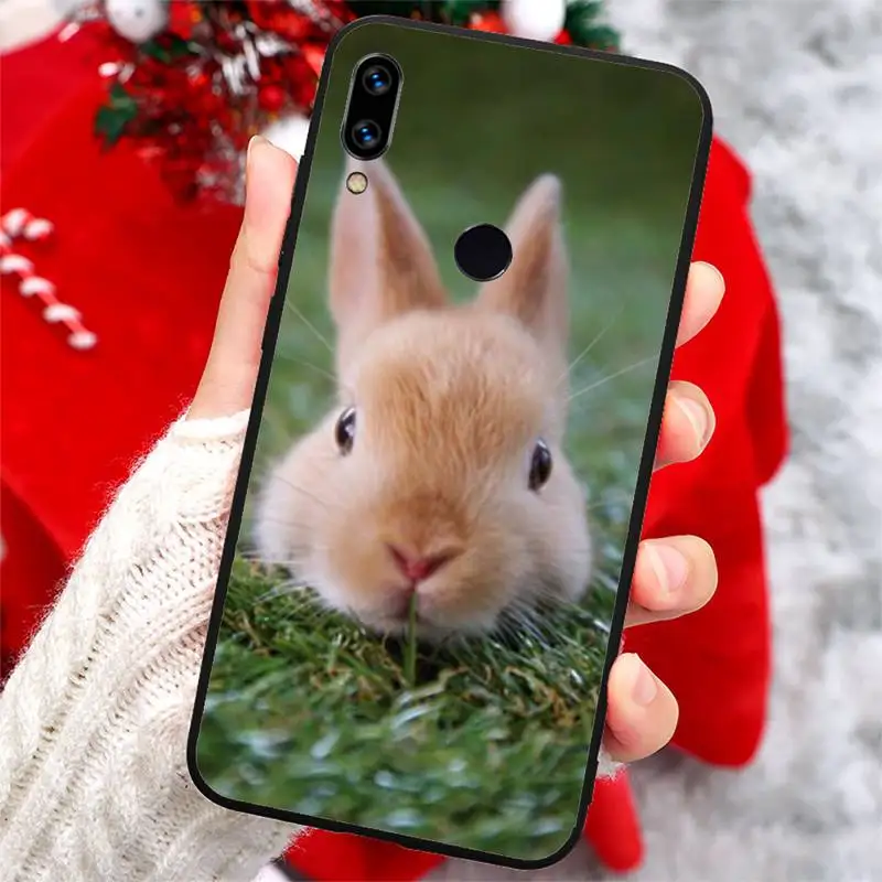 Cute White Baby Rabbits Phone Case For Xiaomi Redmi note 7 8 9 t k30 max3 9 s 10 pro lite
Cute White Baby Rabbits Phone Case For Xiaomi Redmi note 7 8 9 t k30 max3 9 s 10 pro lite