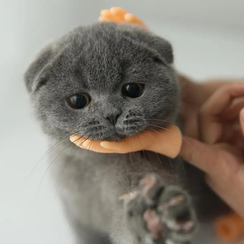 Cartoon Funny Finger Hands Creative Finger Toys Of Toys Around The Small Hand Model Halloween Gift Toys cat toy trump
Cartoon Funny Finger Hands Creative Finger Toys Of Toys Around The Small Hand Model Halloween Gift Toys cat toy trump