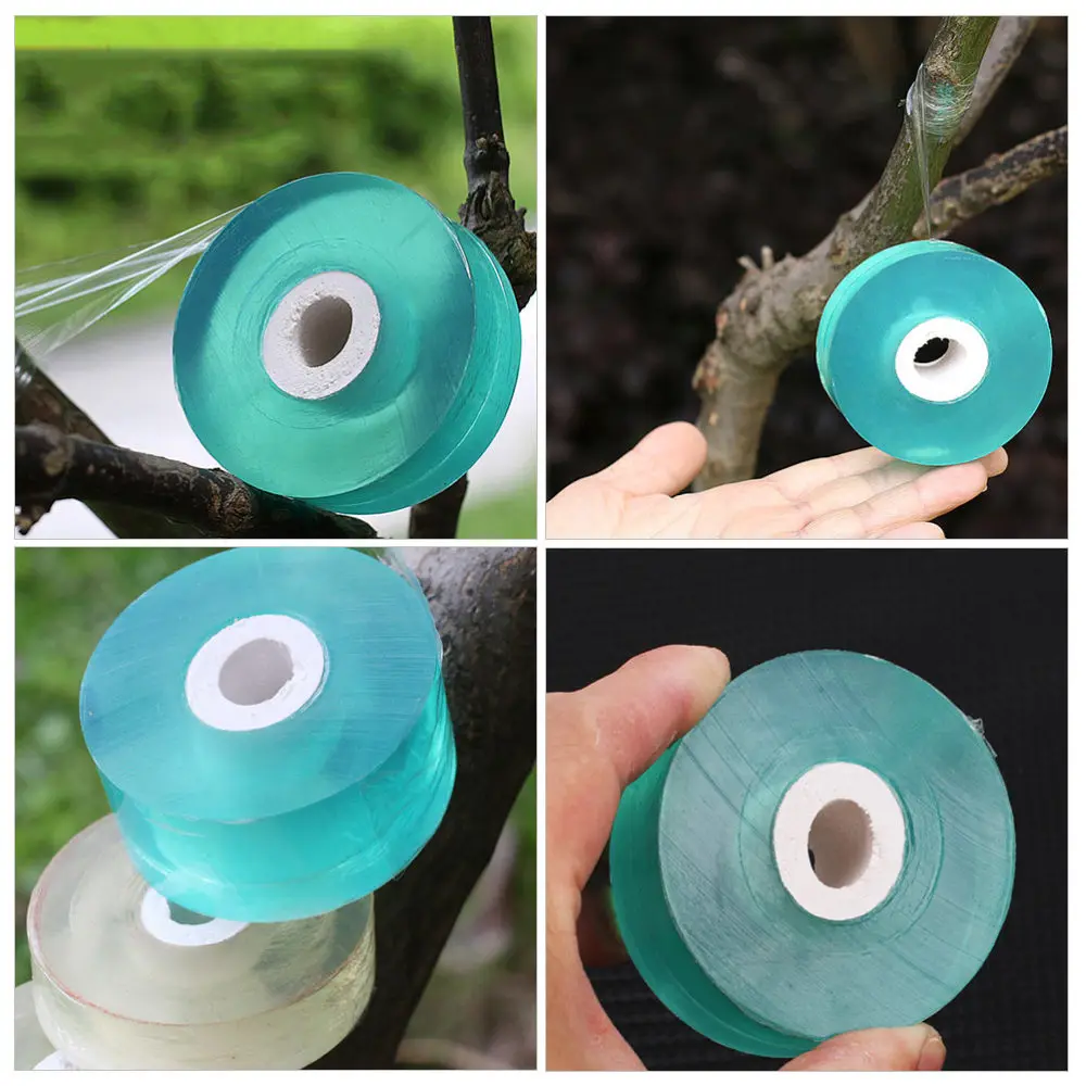 3 Rolls Self-adhesive Colored Grafting Film for Walnuts Citrus Fruits Trees
3 Rolls Self-adhesive Colored Grafting Film for Walnuts Citrus Fruits Trees