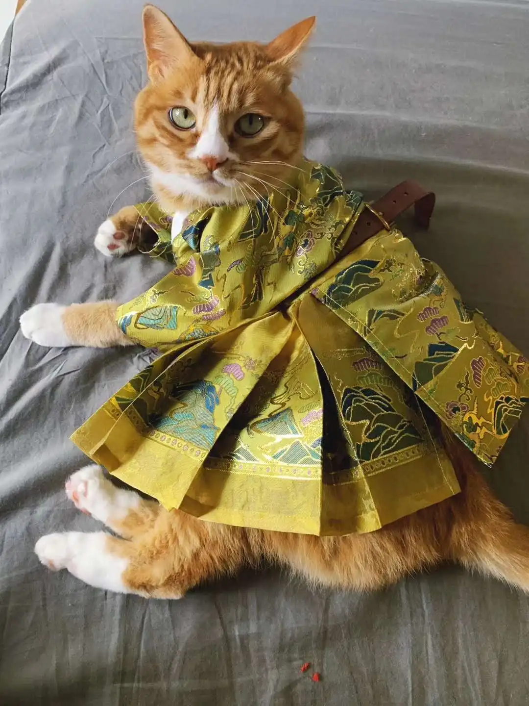TINT ERA Cat Pet Hanfu Drag Scattering Multicolor Optional Cat and Puppy Size Chinese Style
TINT ERA Cat Pet Hanfu Drag Scattering Multicolor Optional Cat and Puppy Size Chinese Style
