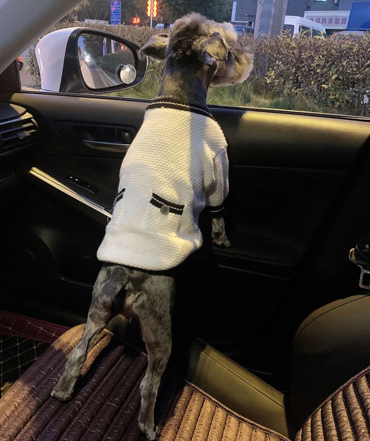 Soft Casual Dog British Gentle Shirts Pet Dog Clothes Cotton Puppy Western Shirt for Dogs Cat Schnauzers French Bulldog Clothing
Soft Casual Dog British Gentle Shirts Pet Dog Clothes Cotton Puppy Western Shirt for Dogs Cat Schnauzers French Bulldog Clothing