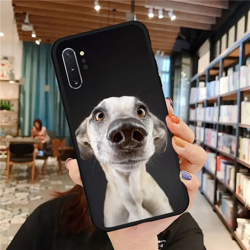 Galgo Greyhound Dog Phone Case For Samsung A50 A51 A71 A20E A20S S10 S20 S21 S30 Plus ultra 5G M11 Soft silicone funda cover
Galgo Greyhound Dog Phone Case For Samsung A50 A51 A71 A20E A20S S10 S20 S21 S30 Plus ultra 5G M11 Soft silicone funda cover