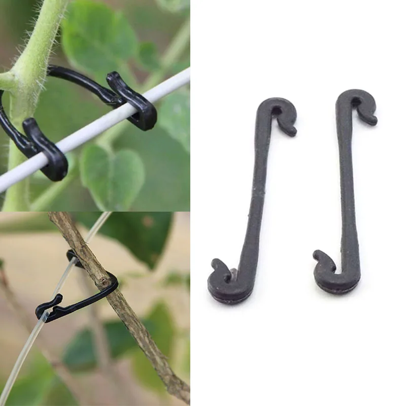 100pcs Plastic Plant Fixing Clips Tomato Support Clips Grape Rack Mesh Fasteners Gardening Agricultural Vine Bundling Line Cage
100pcs Plastic Plant Fixing Clips Tomato Support Clips Grape Rack Mesh Fasteners Gardening Agricultural Vine Bundling Line Cage