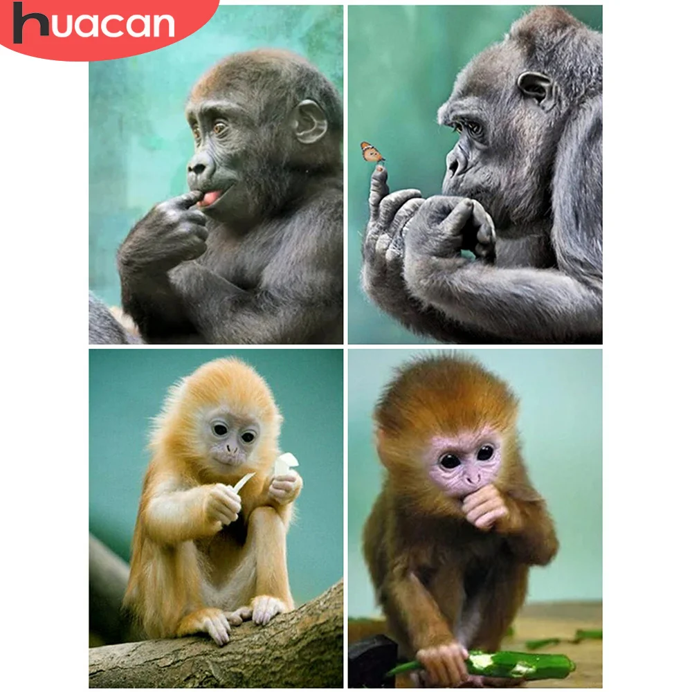 HUACAN DIY Diamond Painting Animal Monkey Diamond Embroidery Cross Stitch Full Square Rhinestone Of Picture Home Decor
HUACAN DIY Diamond Painting Animal Monkey Diamond Embroidery Cross Stitch Full Square Rhinestone Of Picture Home Decor