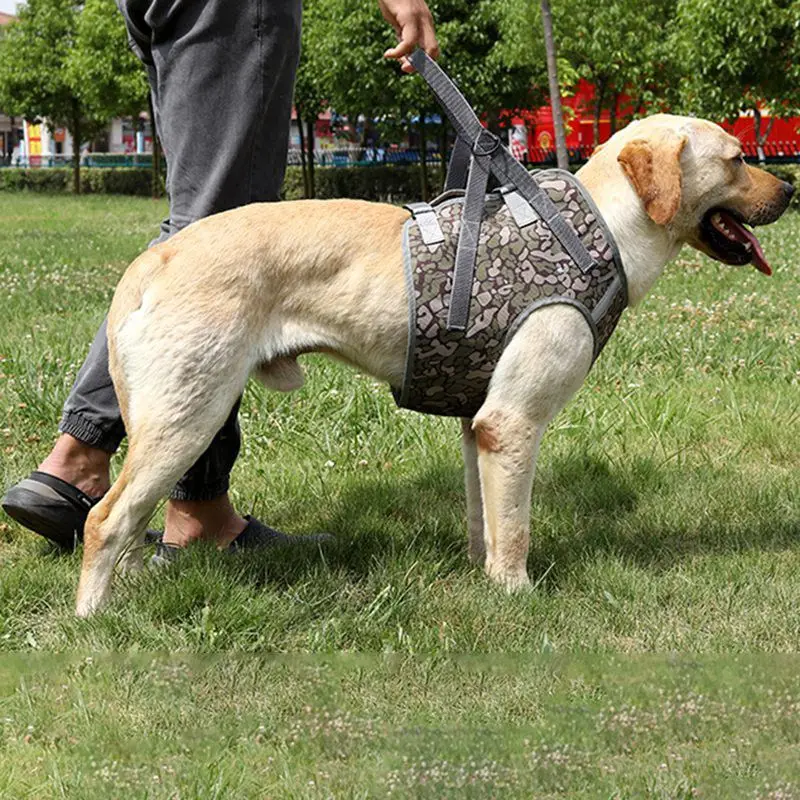 Dog Harness Pet Explosion-Proof Pets Chest Harness For Medium Large Pet Puppy Chest Strap Pet Chihuahua Bulldog Dog Accessories
Dog Harness Pet Explosion-Proof Pets Chest Harness For Medium Large Pet Puppy Chest Strap Pet Chihuahua Bulldog Dog Accessories