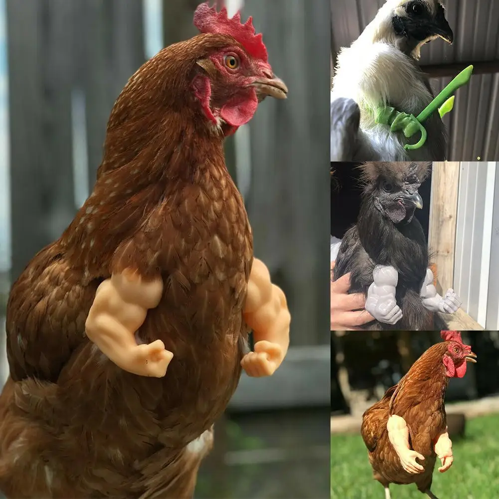 Muscle Chicken Black Chicken Arms Funny Decoration Suitable For Chicken Body And Fist White Funny Chicken Arms Accessories Gag
Muscle Chicken Black Chicken Arms Funny Decoration Suitable For Chicken Body And Fist White Funny Chicken Arms Accessories Gag